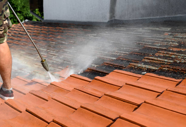 Best Fence Pressure Washing  in Soddy Daisy, TN